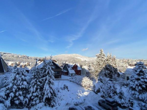 Ferienwohnung Gipfelblick Braunlage mit Garage